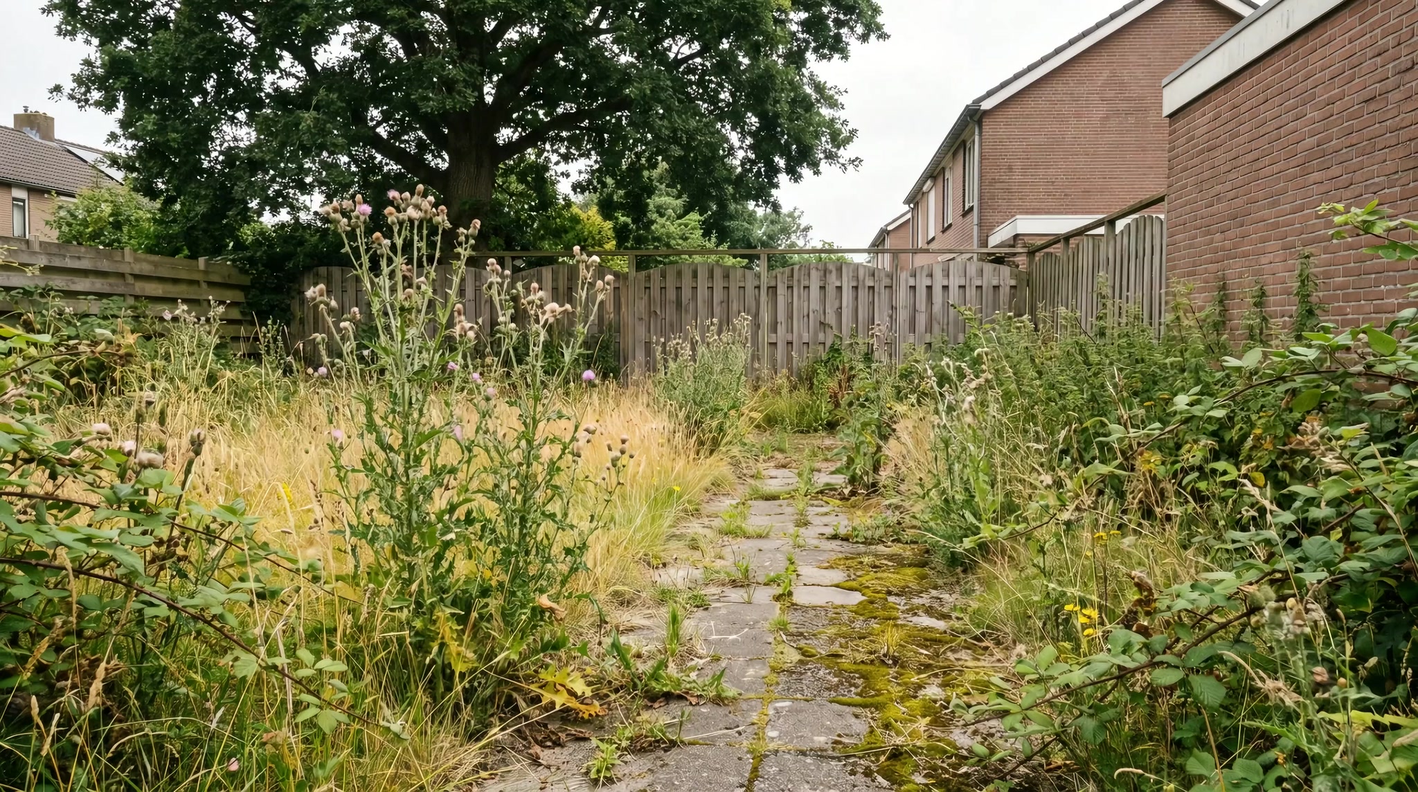 The second garden before work begins — overgrown and uneven